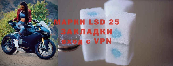 сатива Сосновка