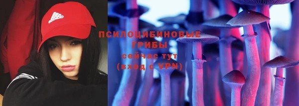 а пвп мука Белокуриха