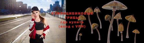 Альфа ПВП Беломорск