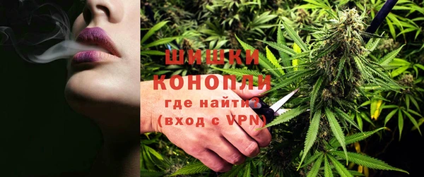 ПСИЛОЦИБИНОВЫЕ ГРИБЫ Белоозёрский