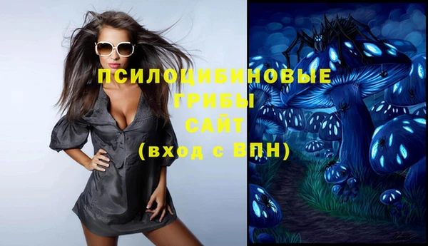 а пвп мука Белокуриха