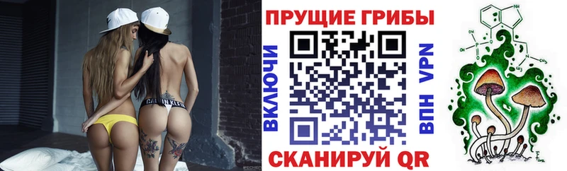 Галлюциногенные грибы ЛСД  где найти   блэк спрут ONION  Высоковск 